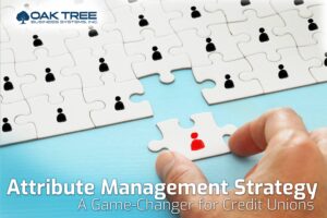 Attribute Management Strategy (AMS) is a powerful tool that can revolutionize how credit unions make lending decisions.