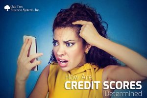 How are Credit Scores Determined