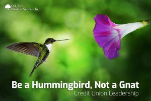 Be a Hummingbird, Not a Gnat