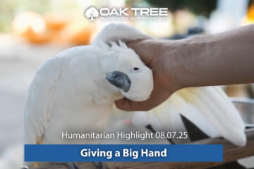 Giving a Big Hand
